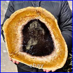 4.4LB Large Natural Petrified Wood Crystal Fossil Slice Shape Specimen Healing 4.4LB Large Natural Petrified Wood Crystal Fossil Slice Shape Specimen Healing