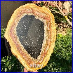 4.4LB Large Natural Petrified Wood Crystal Fossil Slice Shape Specimen Healing