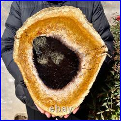 4.4LB Large Natural Petrified Wood Crystal Fossil Slice Shape Specimen Healing 4.4LB Large Natural Petrified Wood Crystal Fossil Slice Shape Specimen Healing