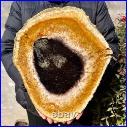 4.4LB Large Natural Petrified Wood Crystal Fossil Slice Shape Specimen Healing 4.4LB Large Natural Petrified Wood Crystal Fossil Slice Shape Specimen Healing