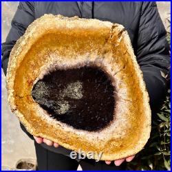 4.4LB Large Natural Petrified Wood Crystal Fossil Slice Shape Specimen Healing 4.4LB Large Natural Petrified Wood Crystal Fossil Slice Shape Specimen Healing