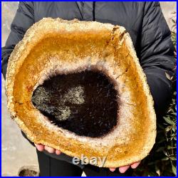 4.4LB Large Natural Petrified Wood Crystal Fossil Slice Shape Specimen Healing 4.4LB Large Natural Petrified Wood Crystal Fossil Slice Shape Specimen Healing