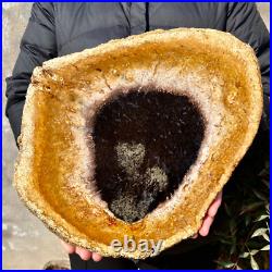 4.4LB Large Natural Petrified Wood Crystal Fossil Slice Shape Specimen Healing 4.4LB Large Natural Petrified Wood Crystal Fossil Slice Shape Specimen Healing