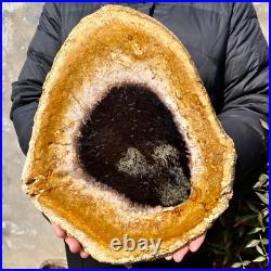 4.4LB Large Natural Petrified Wood Crystal Fossil Slice Shape Specimen Healing 4.4LB Large Natural Petrified Wood Crystal Fossil Slice Shape Specimen Healing