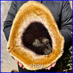 4.4LB Large Natural Petrified Wood Crystal Fossil Slice Shape Specimen Healing 4.4LB Large Natural Petrified Wood Crystal Fossil Slice Shape Specimen Healing
