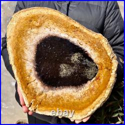 4.4LB Large Natural Petrified Wood Crystal Fossil Slice Shape Specimen Healing 4.4LB Large Natural Petrified Wood Crystal Fossil Slice Shape Specimen Healing
