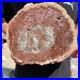 4_4LB_Rare_red_Natural_petrified_wood_rough_Wood_fossil_mineral_specimen_healing_01_wfuq