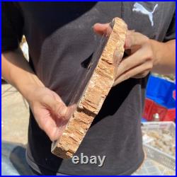 4.4LB Rare red Natural petrified wood rough Wood fossil mineral specimen healing