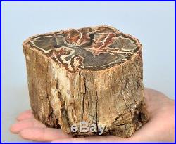 4.4 2.9lb POLISHED PETRIFIED WOOD FOSSIL AGATE BRANCH STAND Madagascar Z1486