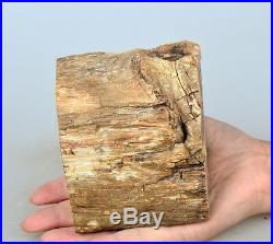 4.4 2.9lb POLISHED PETRIFIED WOOD FOSSIL AGATE BRANCH STAND Madagascar Z1486