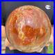 4_4lb_Natural_Petrified_Wood_fossil_Quartz_sphere_Crystal_Ball_specimen_Healing_01_ttyx