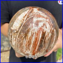 4.4lb Natural Petrified Wood fossil Quartz sphere Crystal Ball specimen Healing