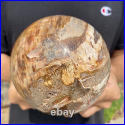 4.4lb Natural Petrified Wood fossil Quartz sphere Crystal Ball specimen Healing