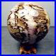 4_56_1990g_Natural_Petrified_Wood_Fossil_Crystal_Sphere_Ball_Madagascar_y1484_01_mn