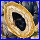 4_5LB_Large_natural_Petrified_wood_crystal_fossil_piece_sample_restoration_01_ohz