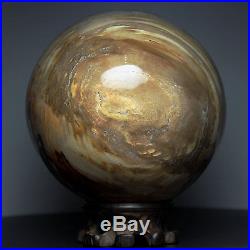 4.5 5.1lb NATURAL PETRIFIED WOOD FOSSIL SPHERE BALL withRoseWood Stand Madagascar