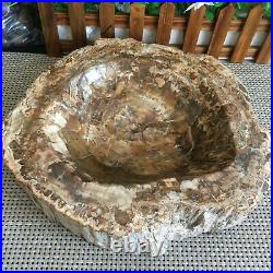 4.5kg Beautiful Polished Petrified Wood Fossil ashtray Madagascar mn1382