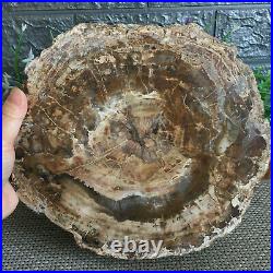 4.5kg Beautiful Polished Petrified Wood Fossil ashtray Madagascar mn1382