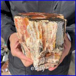 4.6LB Rare RED Natural petrified wood rough Wood fossil mineral specimen healing