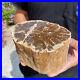4_6lb_Rare_Natural_petrified_wood_rough_Wood_fossil_mineral_specimen_healing_01_rv