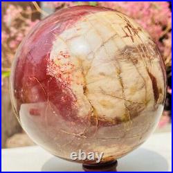 4.77lb Large Natural Petrified Wood Crystal Fossil Sphere Specimen Healing