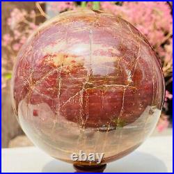 4.77lb Large Natural Petrified Wood Crystal Fossil Sphere Specimen Healing