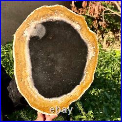 4.7LB Large Natural Petrified Wood Crystal Fossil Slice Shape Specimen Healing