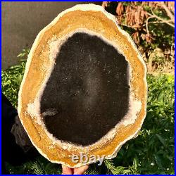 4.7LB Large Natural Petrified Wood Crystal Fossil Slice Shape Specimen Healing