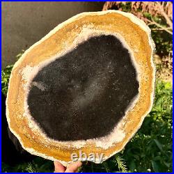 4.7LB Large Natural Petrified Wood Crystal Fossil Slice Shape Specimen Healing