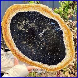 4.7LB Large Natural Petrified Wood Crystal Fossil Slice Shape Specimen Healing