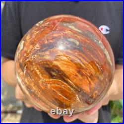 4.7lb Natural Petrified Wood fossil Quartz sphere Crystal Ball specimen Healing