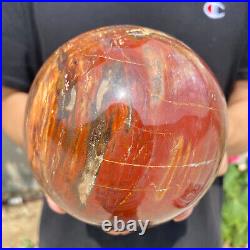 4.7lb Natural Petrified Wood fossil Quartz sphere Crystal Ball specimen Healing