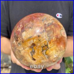 4.7lb Natural Petrified Wood fossil Quartz sphere Crystal Ball specimen Healing