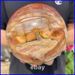 4.7lb Natural Petrified Wood fossil Quartz sphere Crystal Ball specimen Healing