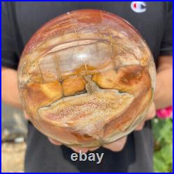 4.7lb Natural Petrified Wood fossil Quartz sphere Crystal Ball specimen Healing