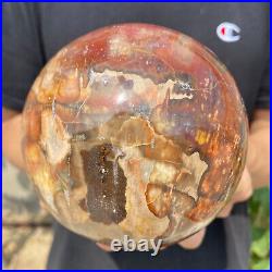 4.7lb Natural Petrified Wood fossil Quartz sphere Crystal Ball specimen Healing