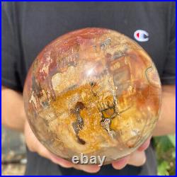 4.7lb Natural Petrified Wood fossil Quartz sphere Crystal Ball specimen Healing