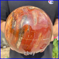 4.7lb Natural Petrified Wood fossil Quartz sphere Crystal Ball specimen Healing