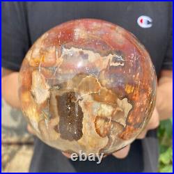 4.7lb Natural Petrified Wood fossil Quartz sphere Crystal Ball specimen Healing