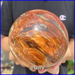 4.7lb Natural Petrified Wood fossil Quartz sphere Crystal Ball specimen Healing