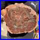 4_8LB_Rare_red_Natural_petrified_wood_rough_Wood_fossil_mineral_specimen_healing_01_xgpm