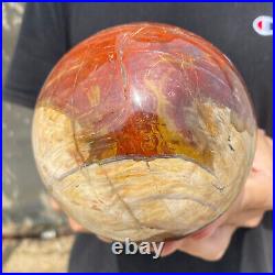 4.8lb Natural Petrified Wood fossil Quartz sphere Crystal Ball specimen Healing