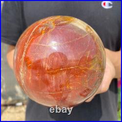 4.8lb Natural Petrified Wood fossil Quartz sphere Crystal Ball specimen Healing