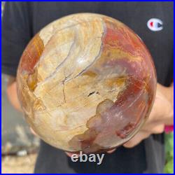 4.8lb Natural Petrified Wood fossil Quartz sphere Crystal Ball specimen Healing