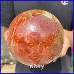 4.8lb Natural Petrified Wood fossil Quartz sphere Crystal Ball specimen Healing