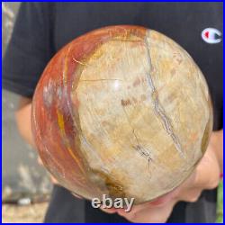 4.8lb Natural Petrified Wood fossil Quartz sphere Crystal Ball specimen Healing