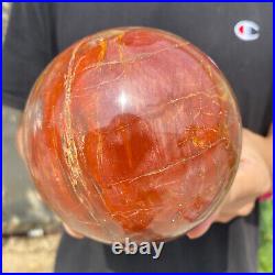 4.8lb Natural Petrified Wood fossil Quartz sphere Crystal Ball specimen Healing