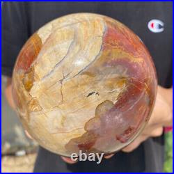 4.8lb Natural Petrified Wood fossil Quartz sphere Crystal Ball specimen Healing