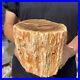 4_8lb_Rare_Natural_petrified_wood_rough_Wood_fossil_mineral_specimen_healing_01_ofqc