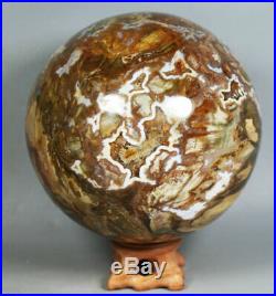 4.93lb Natural Petrified Wood Sphere Fossil Agate Quartz Crystal Ball Madagascar